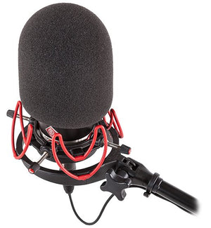 Rycote 45/100 Large Diaphragm Foam Windscreen 104422