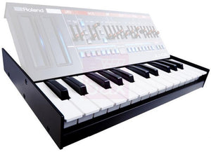 Roland K-25m