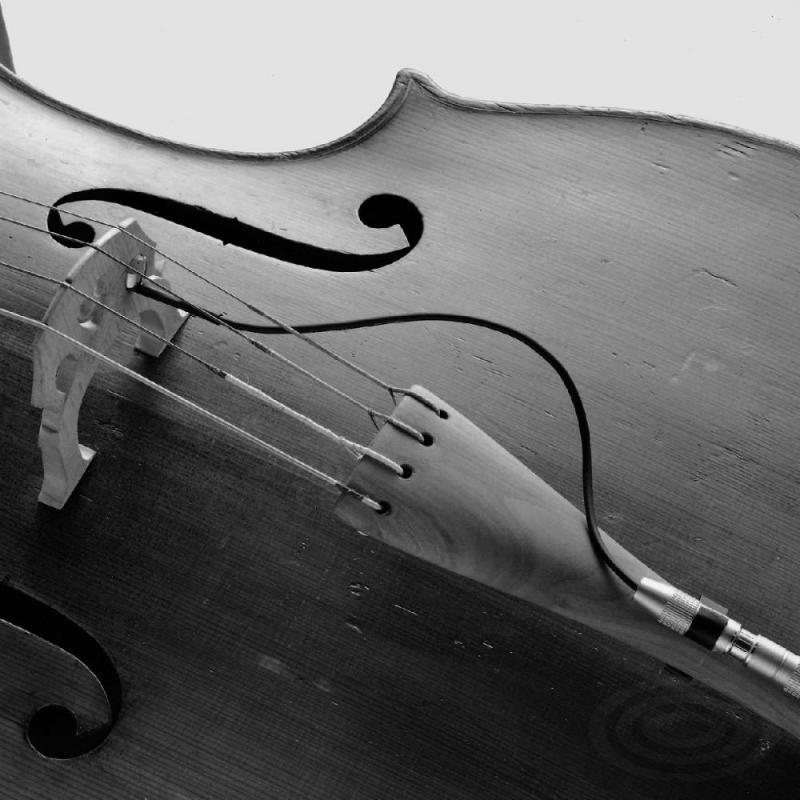 Schertler STAT-C-PRO