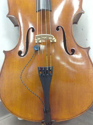 Schertler DYN-C-P48