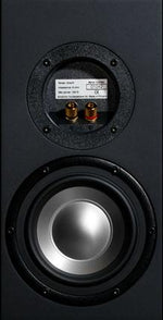 Amphion One15