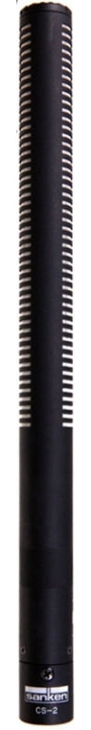 Sanken CS-2