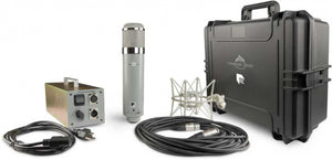 Chandler REDD Microphone
