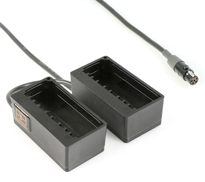 Remote Audio BDSNPADWX2