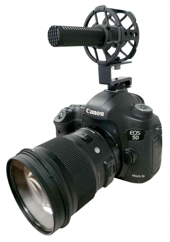 Sanken CS-M1