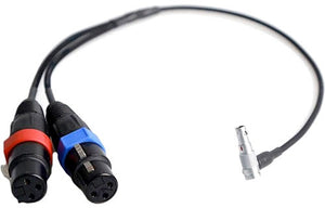 Remote Audio CAXSTEMLR5