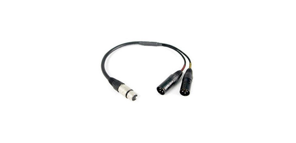 Remote Audio CAXSTE