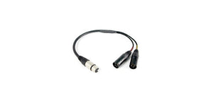 Remote Audio CAXSTE