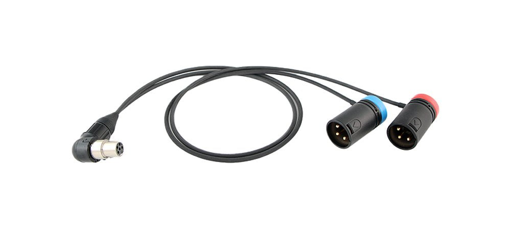 Cable Techniques CT-LP-SR5P-RR-24