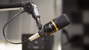 Audix A231