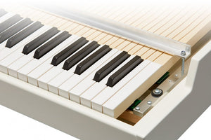 Mellotron M4000D