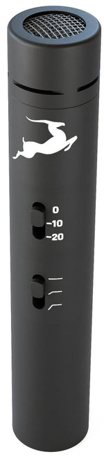 Antelope Audio Edge Note Bundle