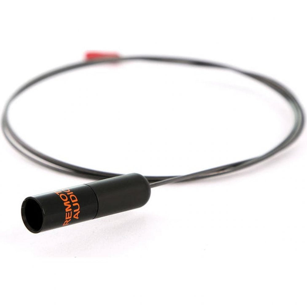Remote Audio LSADEV