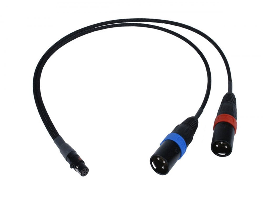 Remote Audio CAT5F2X3M18