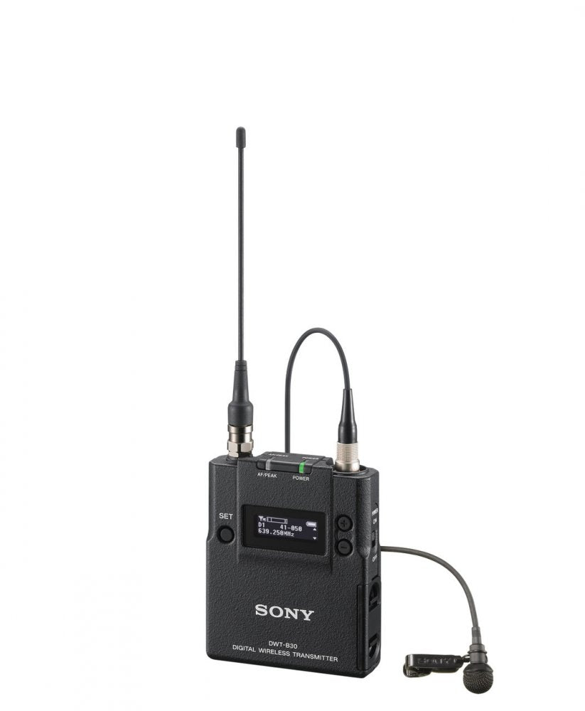 Sony DWT-B30