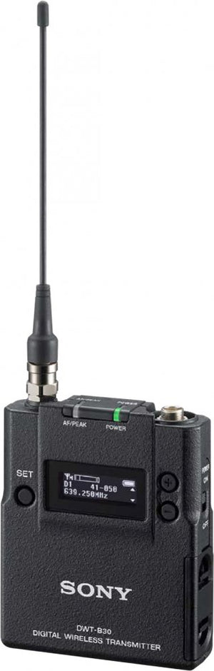 Sony DWT-B30