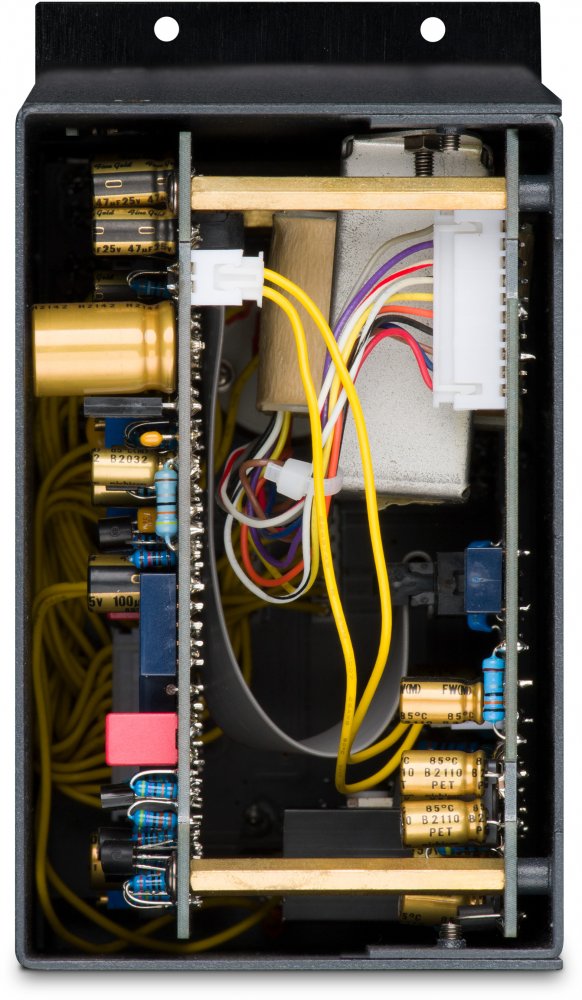 Black Lion Audio Seventeen 500