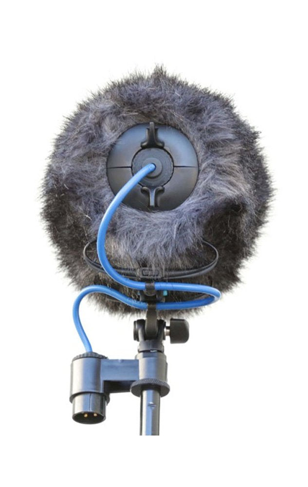 Cinela COSI-L-21