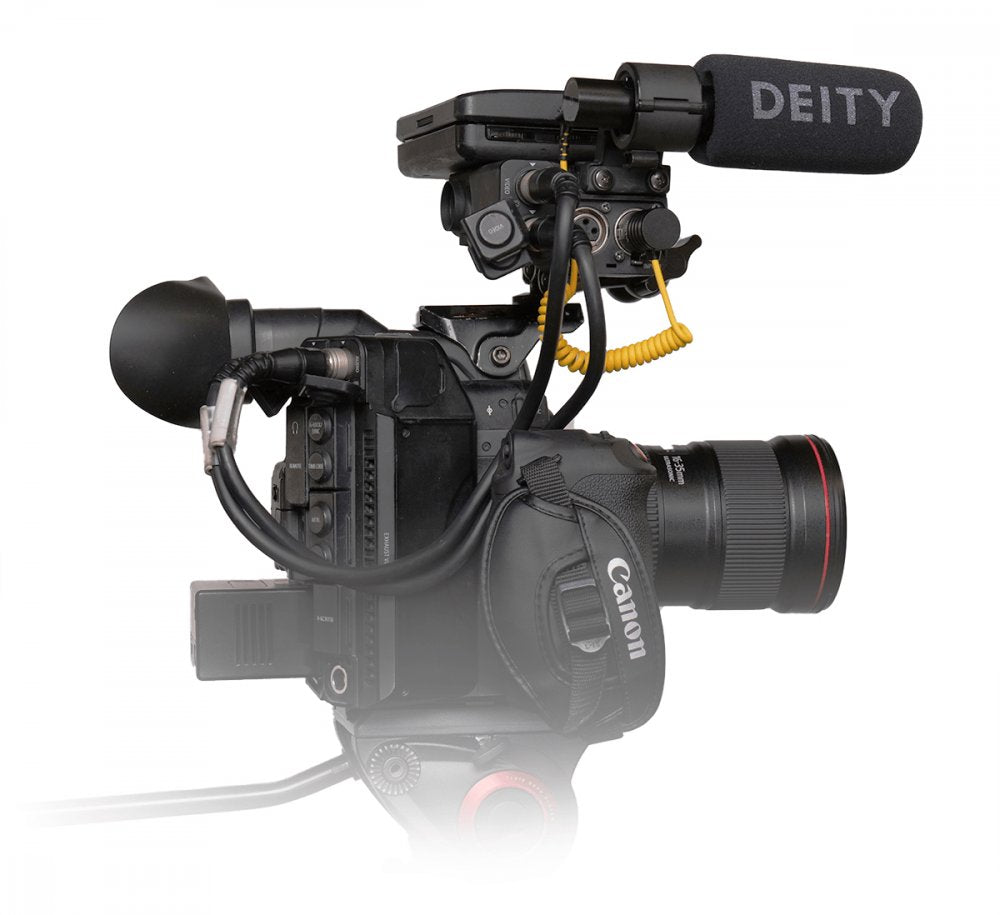 Deity Microphones V-Link - 48v to 3V 12" Coiled TRS Cable to XLR Adapter