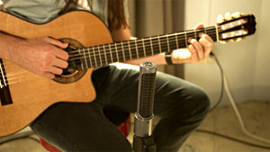 AEA N13