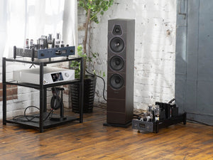 Manley Labs Neo-Classic SE/PP 300B Monoblocks