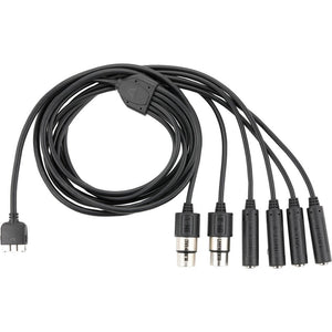 Apogee Breakout Cable Duet 3