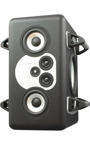 Barefoot Sound MiniMain 12 (pair) w/ handles