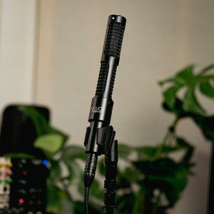 AEA N28 Active Stereo