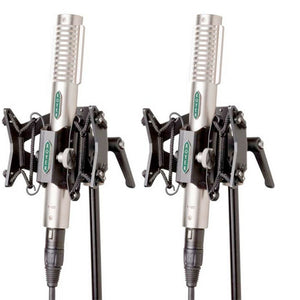 Royer R-121 Matched Pair/SS1