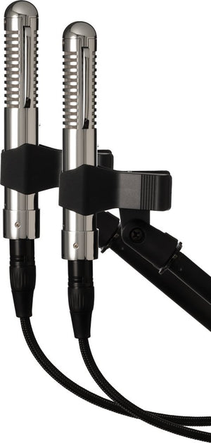 Warm Audio WA-2FT