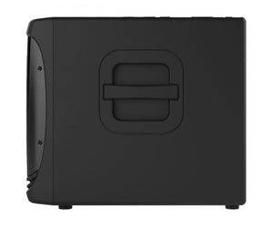 Mackie DLM12S