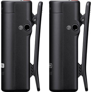 Sony ECMAW4