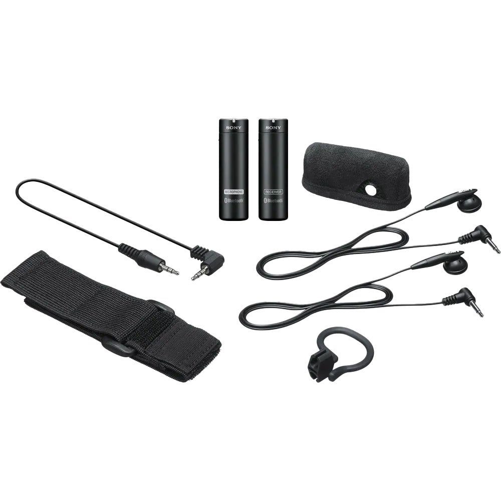 Sony ECMAW4