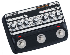 Roland DM-101