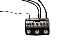 Roland DM-101