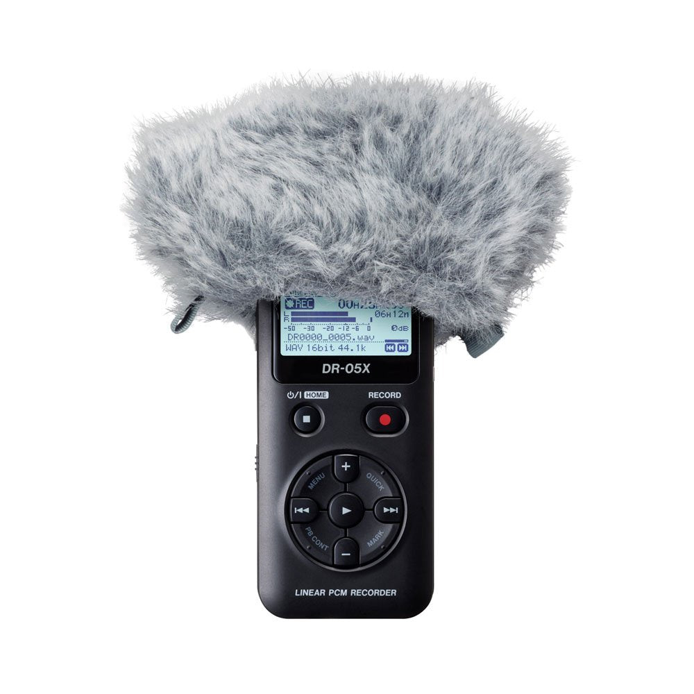 Tascam WS-11