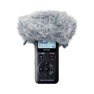 Tascam WS-11