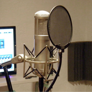 Stedman Proscreen XL