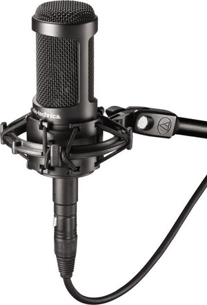 Audio Technica AT2050